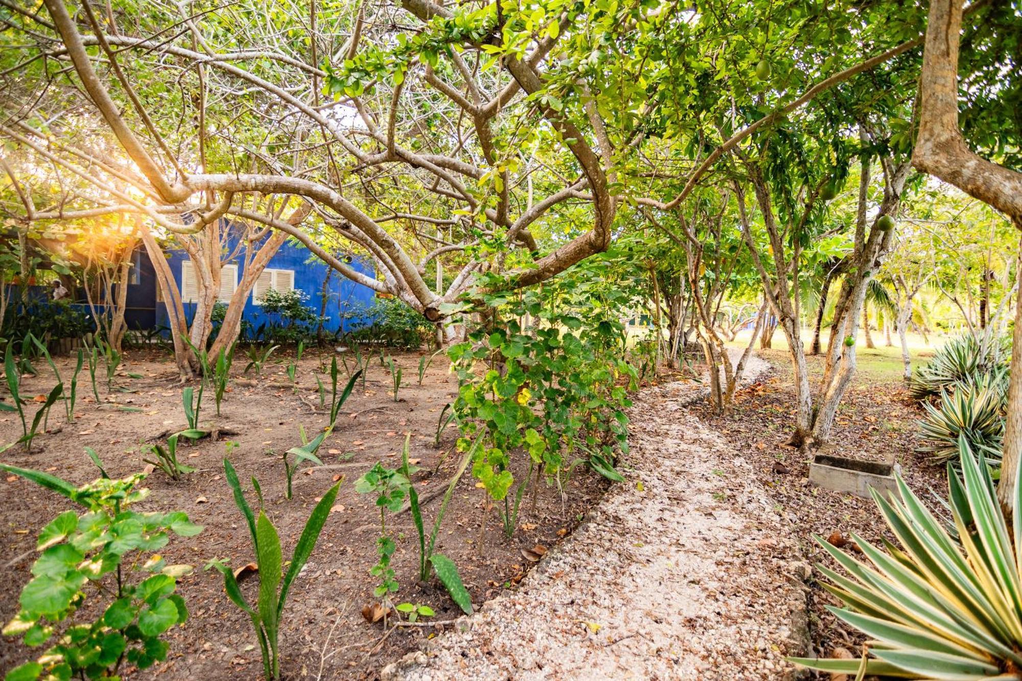 Hotel Playa Manglares Isla Baru Santa Ana  Kültér fotó